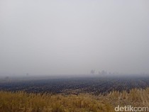 Komisi IV DPR Dukung Badan Pengelola Gambut, Dorong Sinkronisasi Anggaran