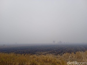 Kabut Asap di Banjar Bikin Jarak Pandang Cuma 50 Meter, Ortu Siswa Minta PJJ