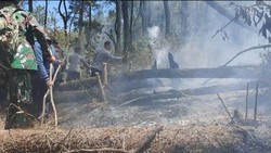Karhutla Gunung Lawu di Magetan Capai 17 Hektare