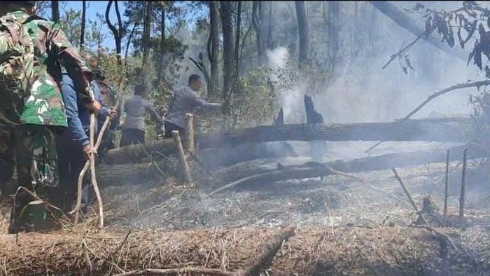 Kebakaran hutan Gunung Lawu di Magetan