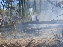 Gunung Lawu Kebakaran! Api Merembet ke Ngawi, Puluhan Hektare Lahan Terbakar