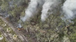 Lahan Seluas 5 Hektare di Beltim Terbakar, Basarnas Berjibaku Padamkan Api