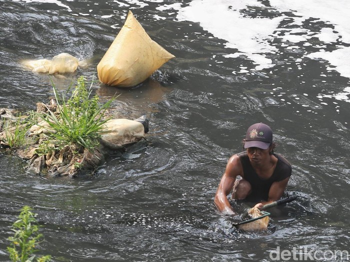 Warga mengais lumpur kemudian menyaring untuk mendapatkan cacing sutra (tubifex) di Sungai Banjir Kanal Barat (BKB) Jakarta, Kamis (17/9/2026). Tampak air sungai menghitam dan berbuih namun tak dihiraukan pencari cacing sutra. Cacing sutra merupakan pakan bibit ikan hias yang sangat dicari pembeli.