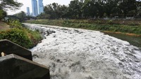 Warga mengais lumpur kemudian menyaring untuk mendapatkan cacing sutra (tubifex) di Sungai Banjir Kanal Barat (BKB) Jakarta, kemarin.