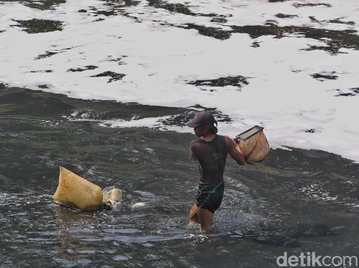 Warga mengais lumpur kemudian menyaring untuk mendapatkan cacing sutra (tubifex) di Sungai Banjir Kanal Barat (BKB) Jakarta, Kamis (17/9/2026). Tampak air sungai menghitam dan berbuih namun tak dihiraukan pencari cacing sutra. Cacing sutra merupakan pakan bibit ikan hias yang sangat dicari pembeli.