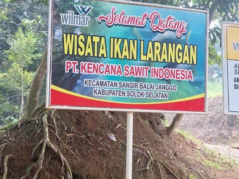 Menjaga Ikan, Merawat Sungai Jujuhan di Solok Selatan
