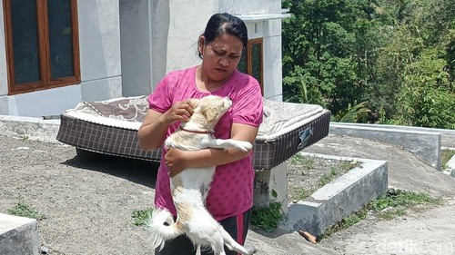 Ni Komang Ayu Suarnitisaatditemuidi rumahnya di Lingkungan Anyar Sari, Kelurahan Baler Bale Agung, Kecamatan Negara, Jembrana, Kamis (17/9/2026). (Foto: Putu Adi Budiastrawan/detikBali)