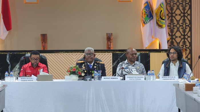 Pansus Papua DPD Tekankan Pendekatan Komprehensif untuk Selesaikan Konflik