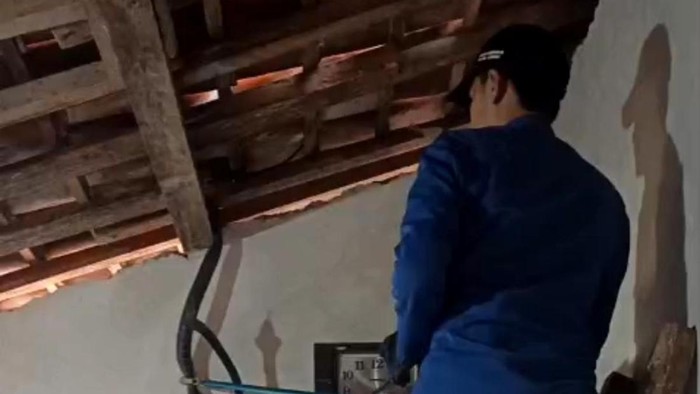 Petugas Damkar Ciamis mengevakuasi ular yang masuk rumah.