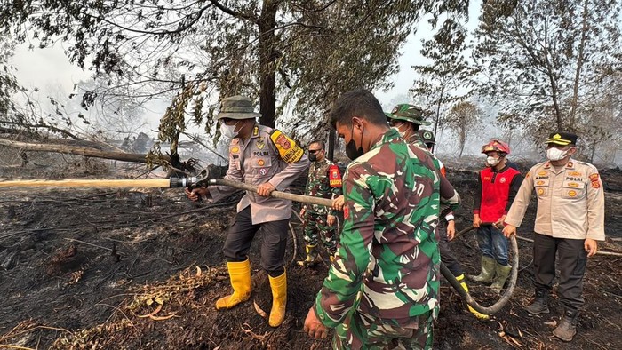 Petugas memadamkan karhutla di HLG Londerang Jambi saat melakukan pengecekan