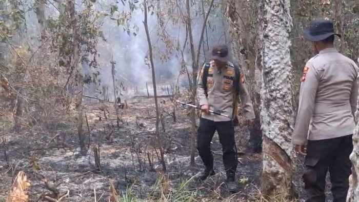 Polisi upayakan pemadaman karhutla di Banyuasin
