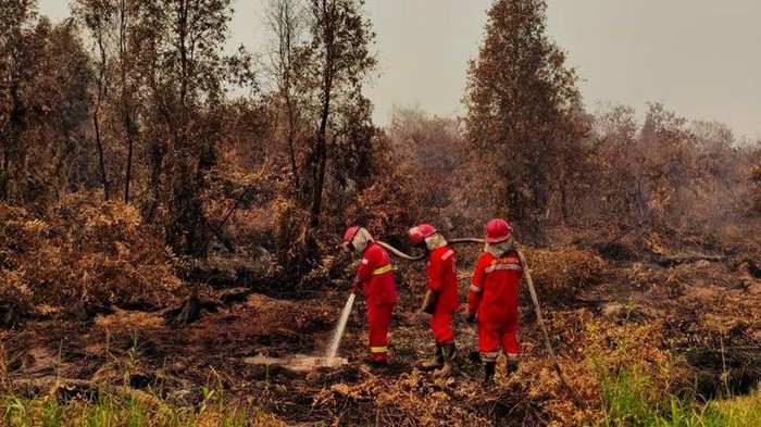 Potret pasukan pemadam kebakaran sedang memadamkan api di hutan.