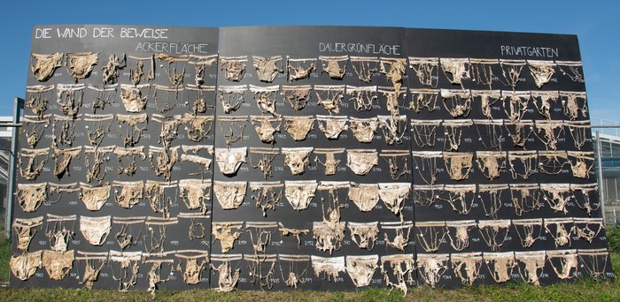 Proyek sains warga (citizen science) dengan menguburkan celana dalam bernama Beweisstück Unterhose atau Proof by Underpants.