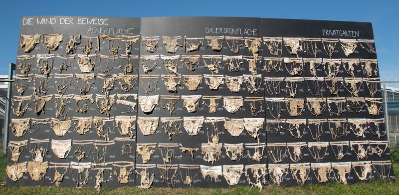 Proyek sains warga (citizen science) dengan menguburkan celana dalam bernama Beweisstück Unterhose atau Proof by Underpants.