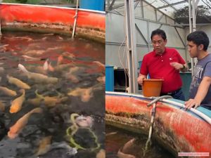 Rekomendasi Dimsum Mentai Enak di Ojol hingga Purbaya Budidaya Ikan Nila