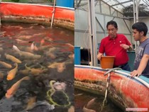 Usai Tak Jadi Menkeu, Purbaya Punya Kesibukan Baru: Budidaya Ikan Nila