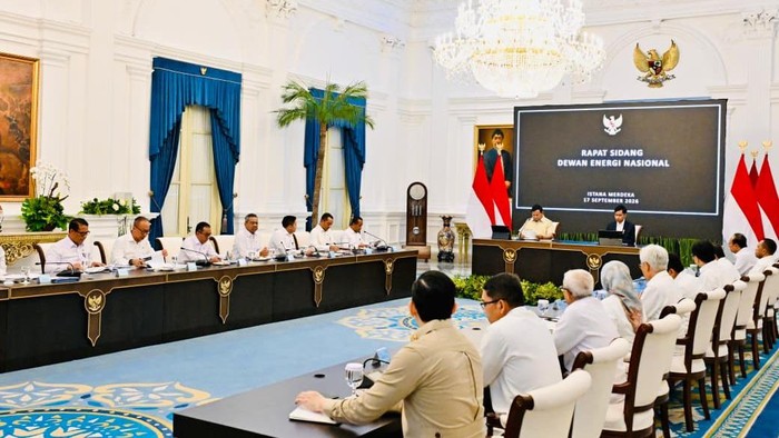Rapat Dewan Energi Nasional di Istana