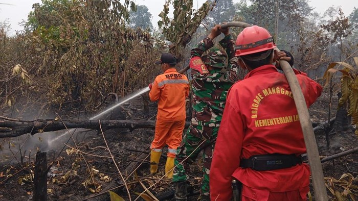 Satgas Karhutla saat padamkan lahan terbakar.