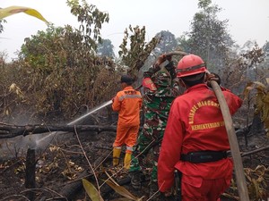 Karhutla 3 Hektare di Kebun Sawit-Karet Padam, Satgas Duga Dibakar Berulang