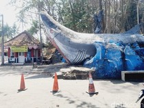 Potret Ekonomi Pedagang Batu Hiu di Tengah Sepinya Wisata