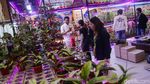 Tanaman Langka dan Eksotis Banjiri FLOII Expo 2026