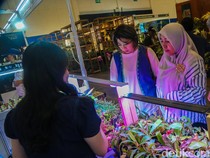 Tanaman Langka dan Eksotis Banjiri FLOII Expo 2026