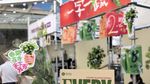 Unik! Di Festival Kuliner Ini Semua Makanannya Serba Daun Ketumbar