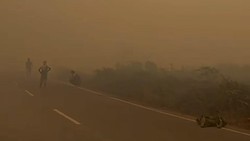 Terdampak Karhutla, KLH Sebut Kualitas Udara di Kalteng-Kalsel Berbahaya
