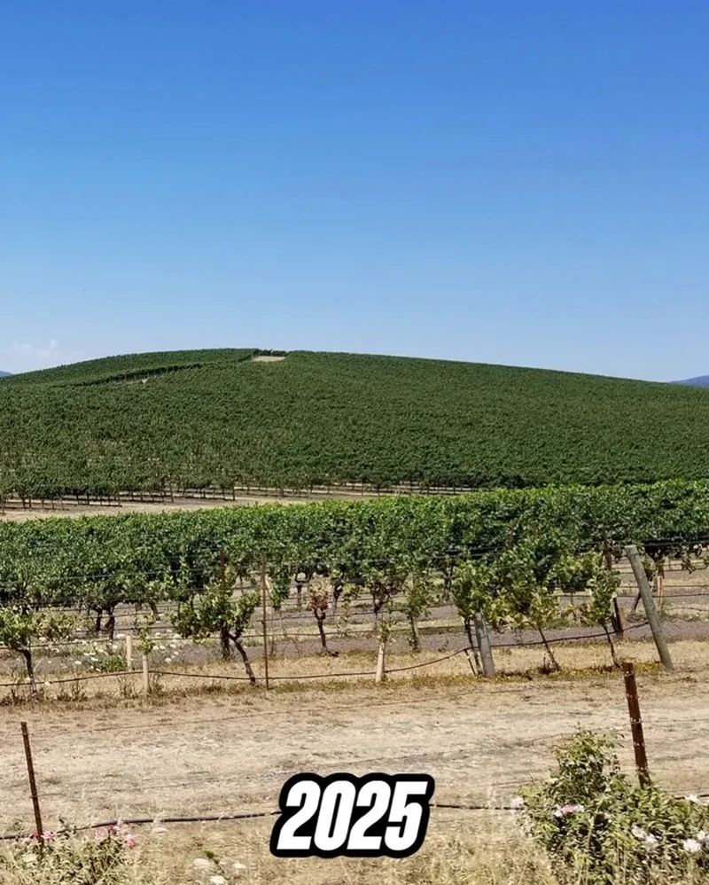 Bukit Windows XP