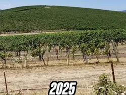 Begini Lokasi Asli Wallpaper Windows XP, Bikin Banyak Orang Kecewa