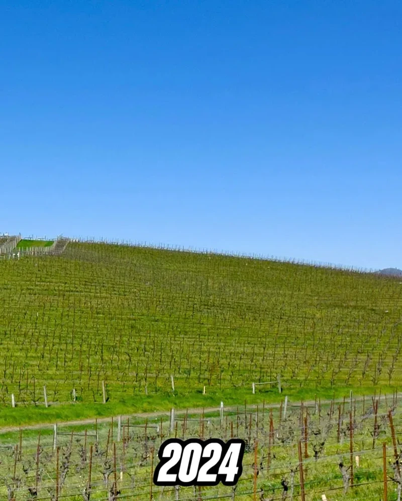 Bukit Windows XP
