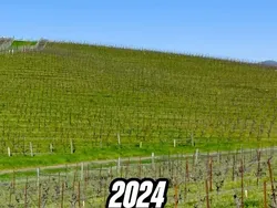 Begini Lokasi Asli Wallpaper Windows XP, Bikin Banyak Orang Kecewa