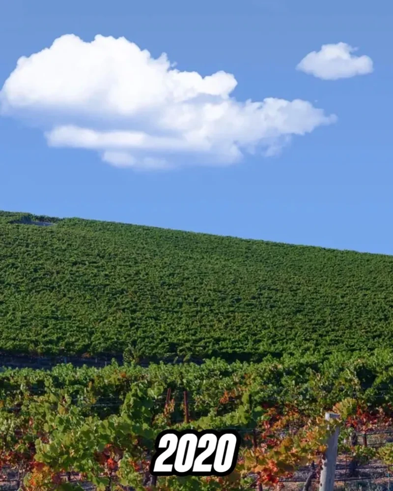 Bukit Windows XP