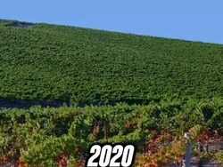 Begini Lokasi Asli Wallpaper Windows XP, Bikin Banyak Orang Kecewa