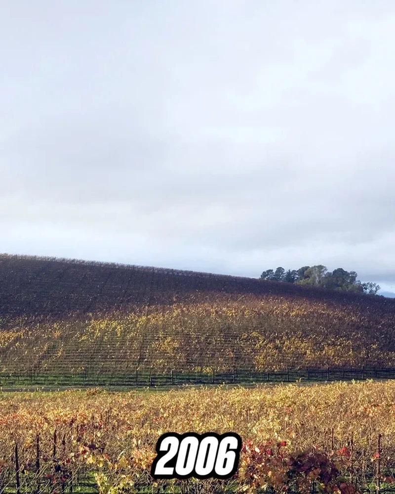 Bukit Windows XP