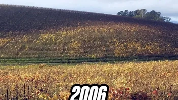 Penampakan lokasi “Bliss” pada 2006, beberapa tahun setelah Windows XP membuat bukit ini terkenal ke seluruh dunia. Perubahan vegetasi membuat pemandangannya jauh berbeda dibanding foto asli yang diabadikan pada 1996. Foto: Bored Panda/Inside History Foto: Insidehistory via Boredpanda