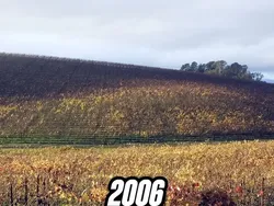 Begini Lokasi Asli Wallpaper Windows XP, Bikin Banyak Orang Kecewa