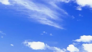 Inilah “Bliss”, foto bukit hijau dan langit biru yang kemudian menjadi wallpaper default Windows XP dan dikenal jutaan pengguna komputer di dunia. Foto aslinya dijepret fotografer Charles “Chuck” O’Rear di Sonoma County, California, pada Januari 1996. Foto: Bored Panda/Inside History Foto: Insidehistory via Boredpanda