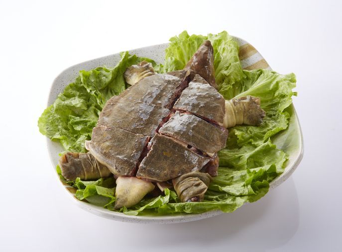 Daging penyu. Ilustrasi