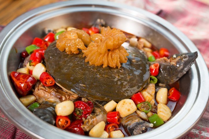 Daging penyu. Ilustrasi