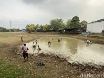 Kemarau Bikin Danau di Cinere Depok Kering, Warga Ramai Cari Ikan