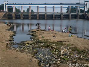 Air Sungai Cisadane Menyusut di Tengah Musim Kemarau