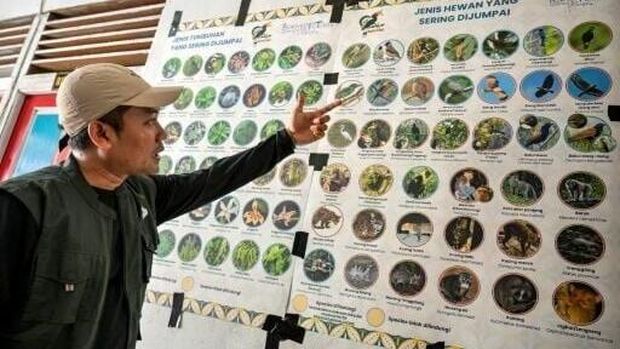 Foto Satwa Liar di Kalimantan dapat Cuan Foto Satwa Liar di Kalimantan dapat Cuan