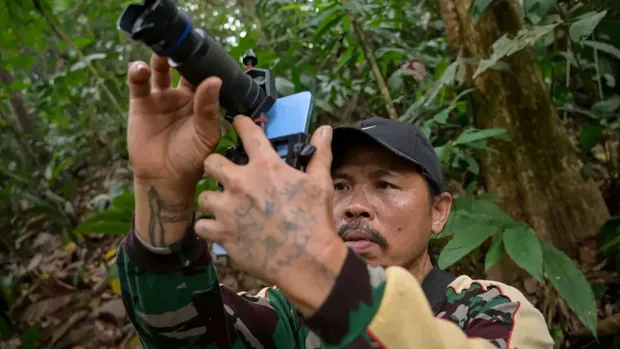 Foto Satwa Liar di Kalimantan dapat Cuan Foto Satwa Liar di Kalimantan dapat Cuan