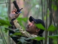 Foto Orangutan Dapat Cuan, Cara Unik Warga Kalimantan Jaga Satwa