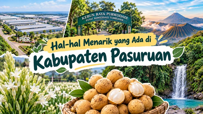Ilustrasi serba-serbi Kabupaten Pasuruan.