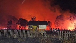 Api Karhutla Dekati Makam-Danau Gatal Kobar, Warga Mulai Cemas