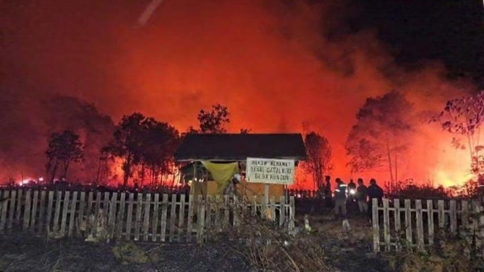 Karhutla di dekat makam Kotawaringin Barat, Kalteng. (dok warga)