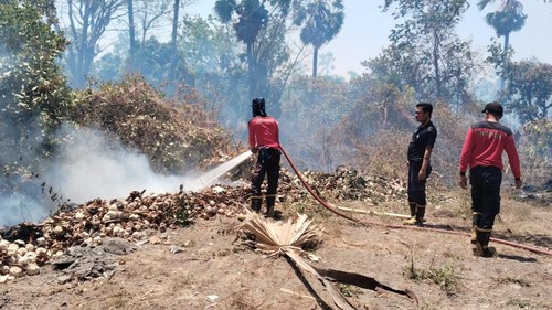 Petugas Damkartan Karangasem memadamkan kebakaran lahan di Kecamatan Kubu, Karangasem, Kamis (17/9/3026).