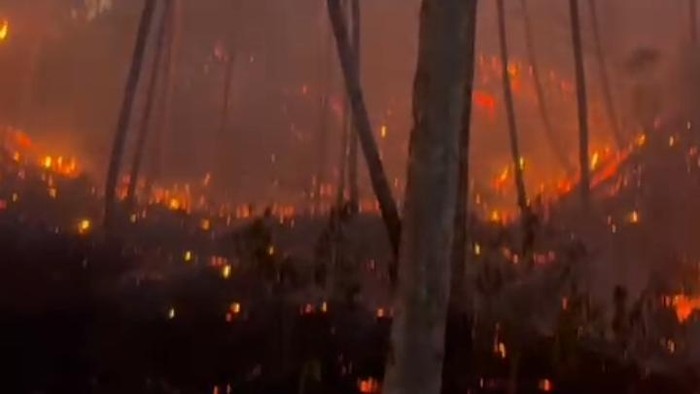 Kebakaran hutan melanda Desa Kuwil, Minahasa Utara, dengan luas lahan terbakar sekitar 20 hektare.